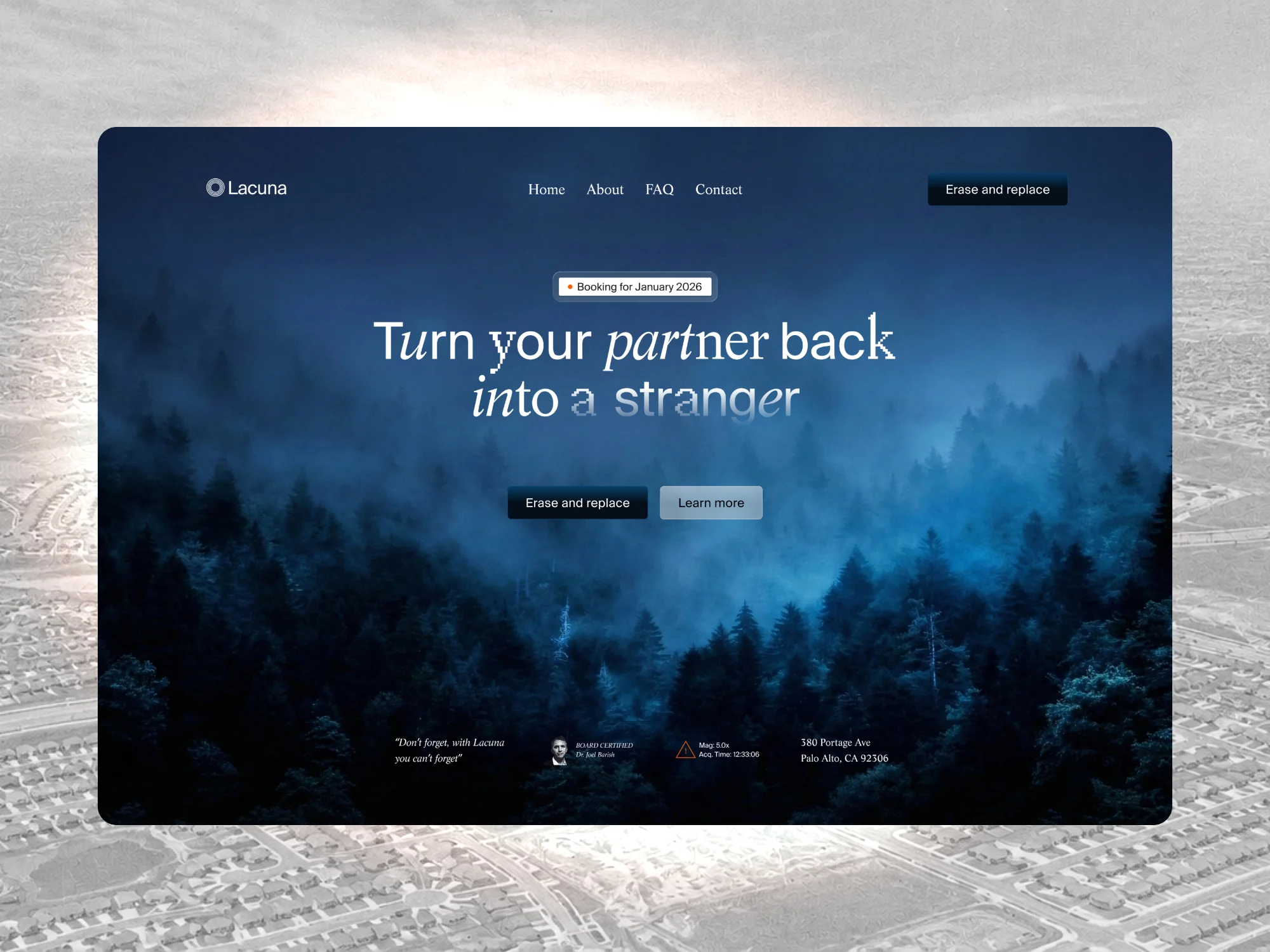 Landing page with a misty blue forest and the headline Turn your partner back into a stranger.