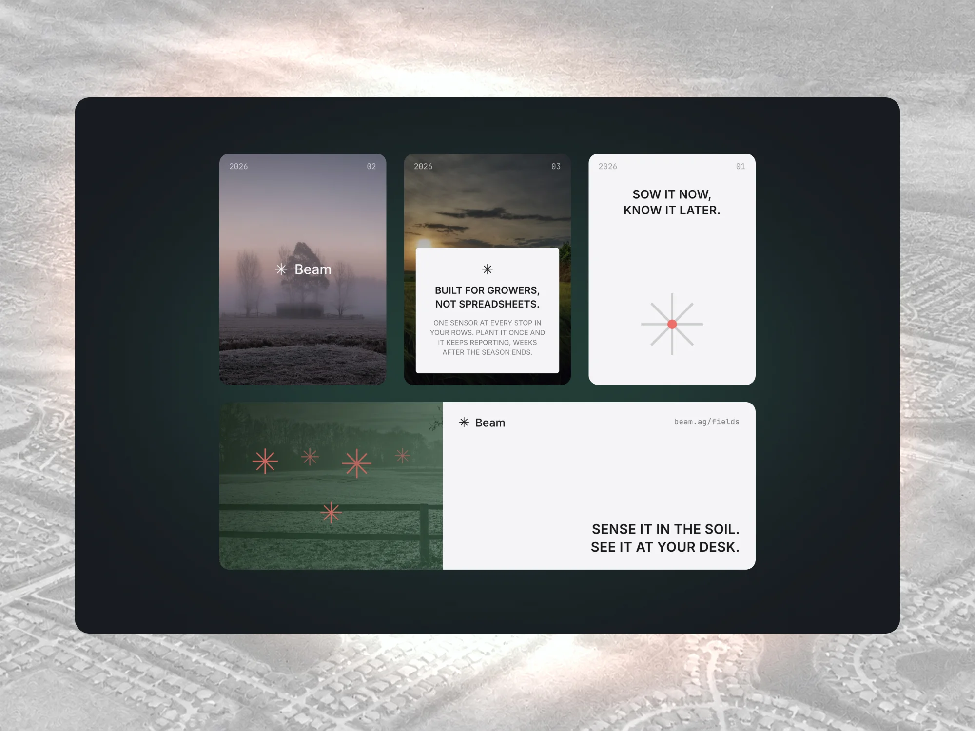 Beam brand cards: misty field photos, line marks and taglines on dark green.